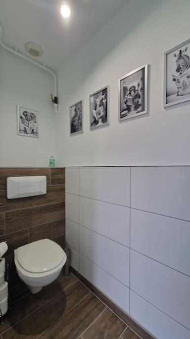 Modern Jungle - Colmar Apartment Exterior photo